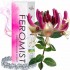 Feromist Pheromones For Woman 15ml